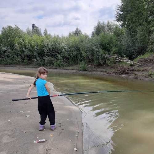 Photo #13679499