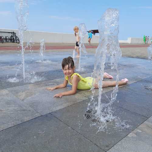 Photo #13679518