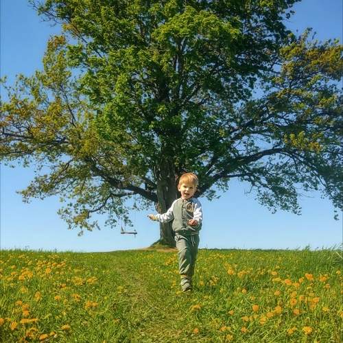 Photo #13679530