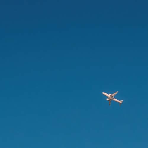 Photo #13679541
