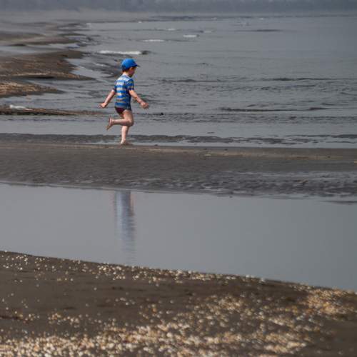 Photo #13679549
