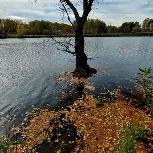 Photo #13679593