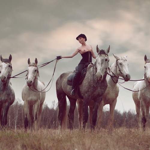 Photo #13679825