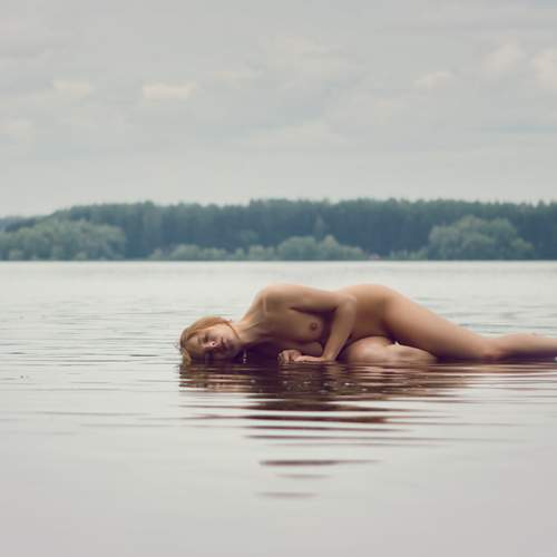 Photo #13679826
