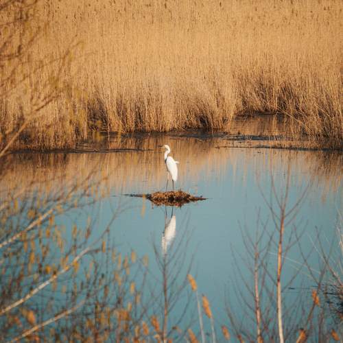 Photo #13679846