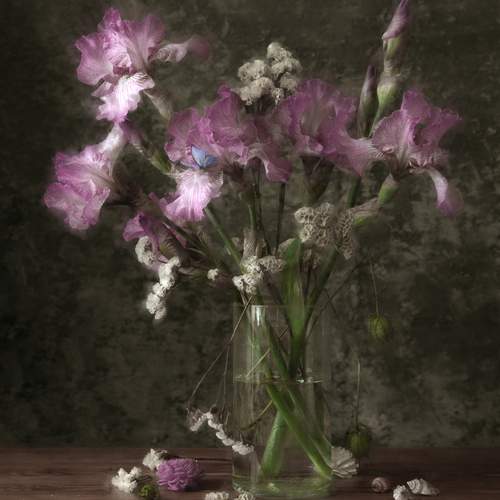 Dina Ginevich