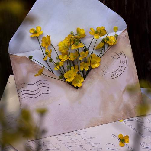 Photo #13680027