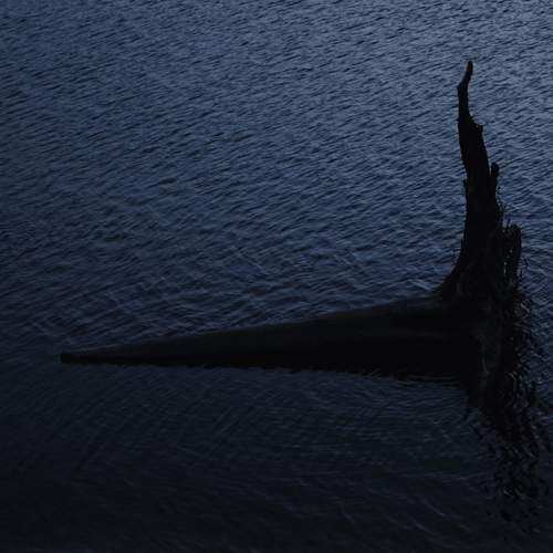 Photo #13680031