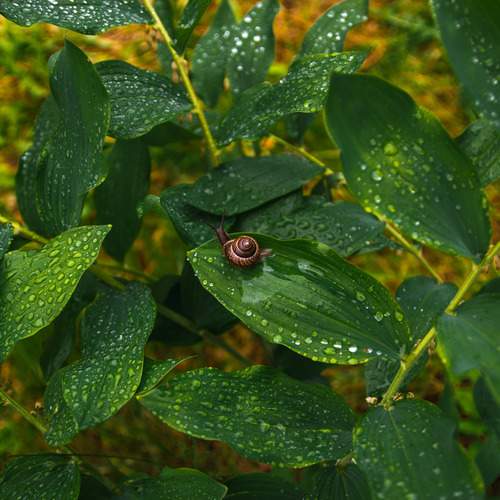 Photo #13680068