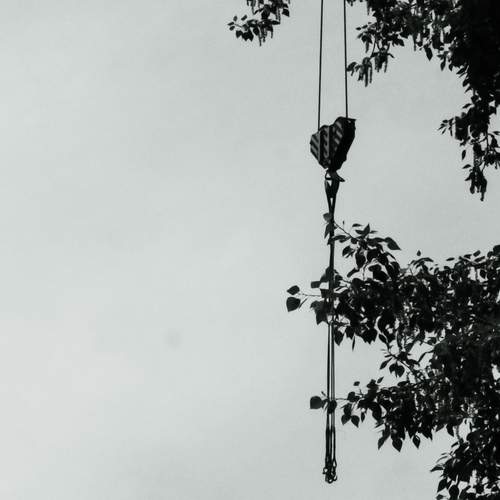 Photo #13680223