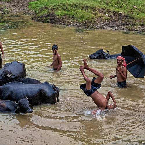Monsoon Acrobats