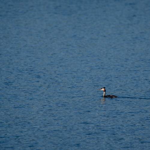 Photo #13680274