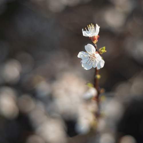 Photo #13680342