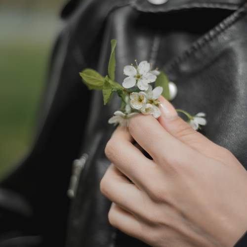 Photo #13680343