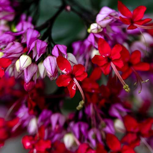 Photo #13680417