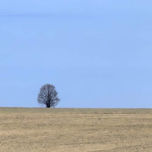 Photo #13680448