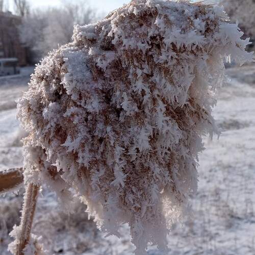 Photo #13680516