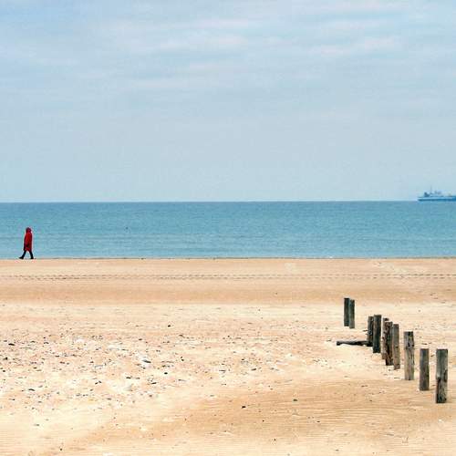 Photo #13680643