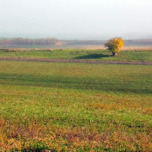Photo #13680664