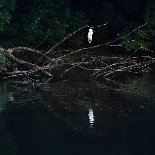 Photo #13680671