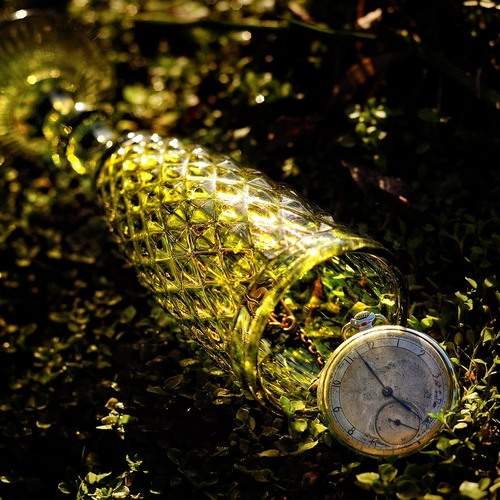 Photo #13680685