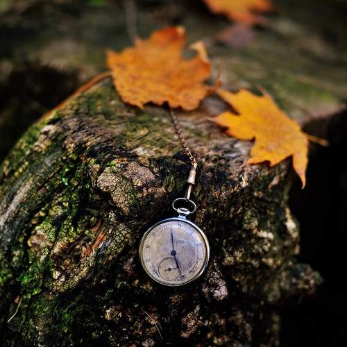 Photo #13680721