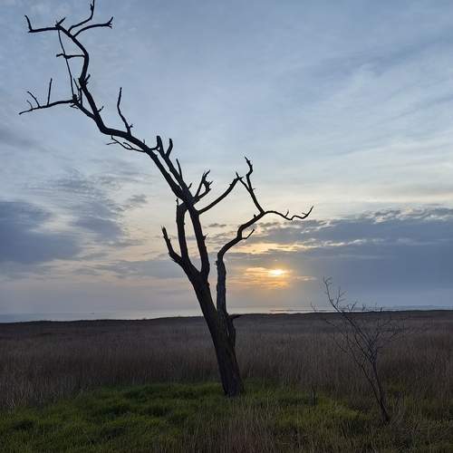 Photo #13680746