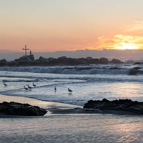 Photo #13680755