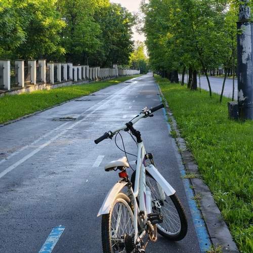 Photo #13680826