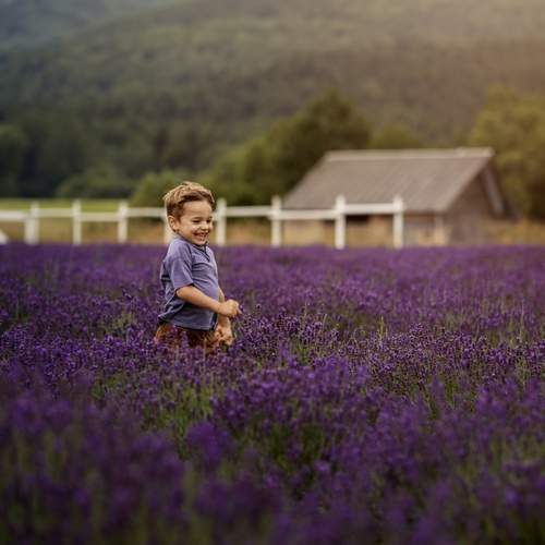 Photo #13680878