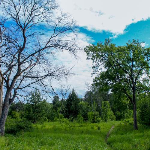Photo #13680987
