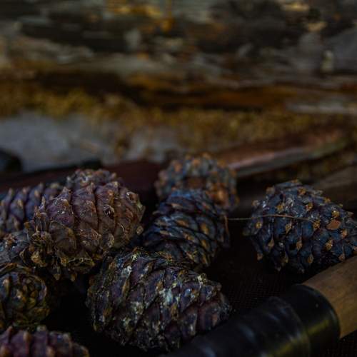 Photo #13681001