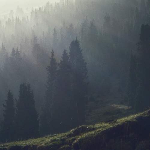 Photo #13681138