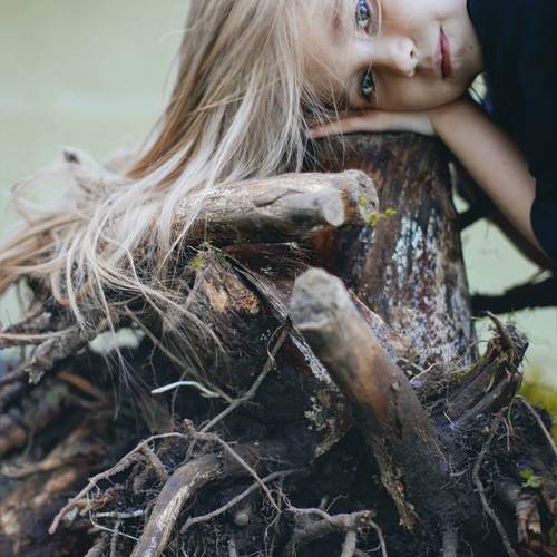 Photo #13681195