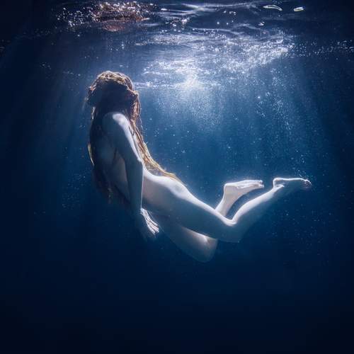 Photo #13681323