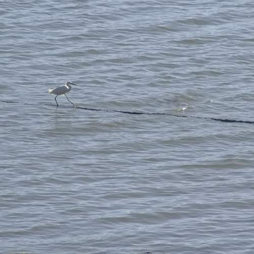 Photo #13681373