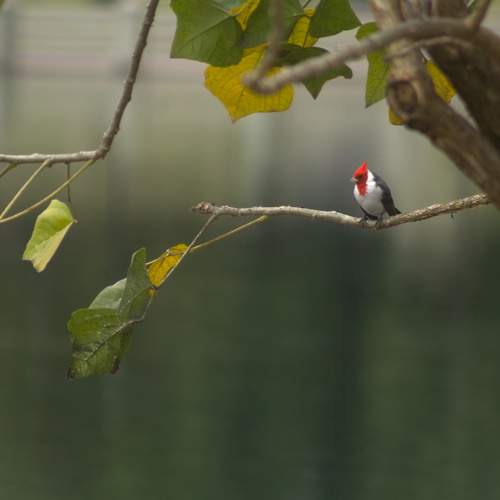 Photo #13681374