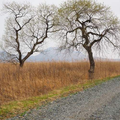Photo #13681654