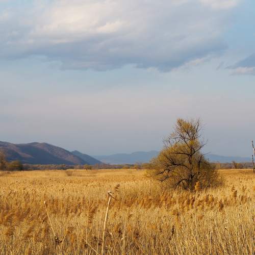 Photo #13681657