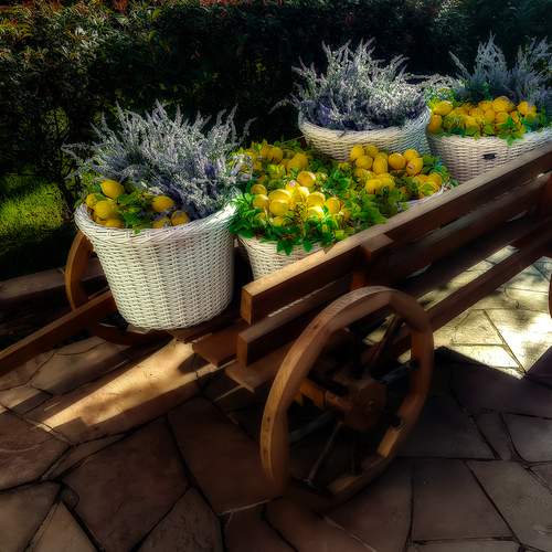 Photo #13681702