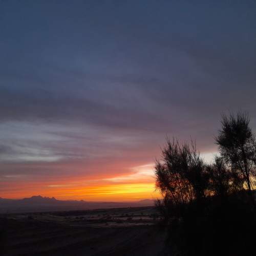 Photo #13681744