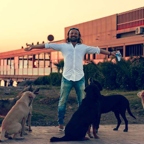 Photo #13681826