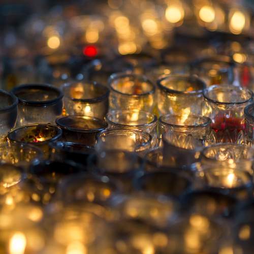 Photo #13681907