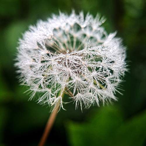 Photo #13681931