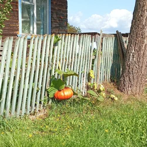 Photo #13681937
