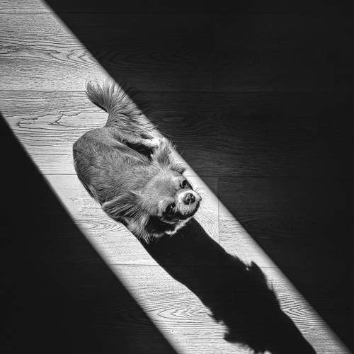Photo #13681947