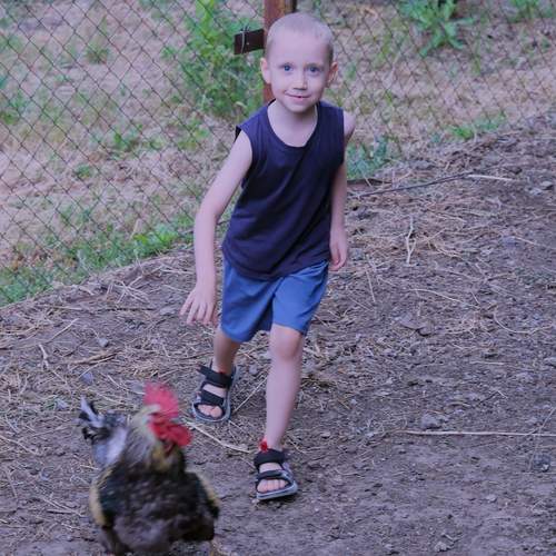 Photo #13681958