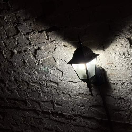 Photo #13682005