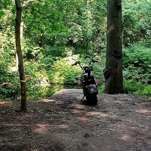 Photo #13682031