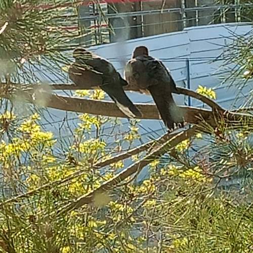 Photo #13682040